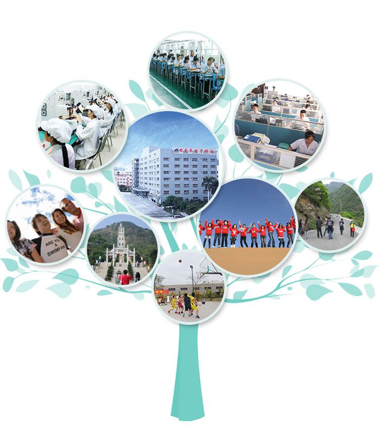 廣州愛車電子科技有限公司員工風采